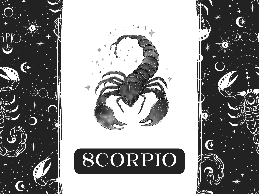 a black and white picture of a scorpion - Cosmic by Design
